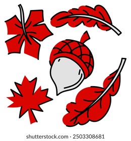 Flat illustration of acorn and leaves. Acorn is depicted in a characteristic shape with cap the autumn leaves red. Painted in the colors of the Canadian flag. Autumn motif maple, acorn, walnut