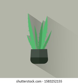 Flat illustration of aloe vera in a pot with a long shadow. Icon for web design.