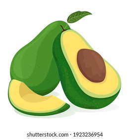 Flat illustration of avocados isolated (whole, half and slice)