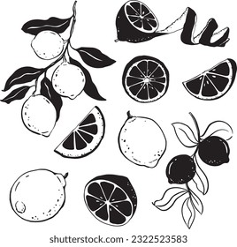 flat illustration of black silhouette lemon on white background lemon branch