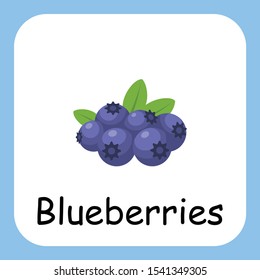 Flat Illustration of Blueberries with Text Vector Design. Education for Kids.