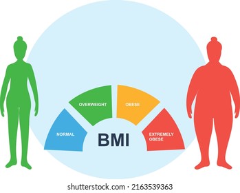 Flache Illustration. Körpermassenindex-Diagramm mit normalen, übergewichtigen, fettleibigen Blöcken. Untergewicht, BMI, Gewichtsverlust Konzept. Vor und nach Diät und Fitness. Körper mit anderem Gewicht. Gesunder Lebensstil.