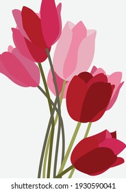 Flat illustration of a bunch of colorful tulips. Vector drawing of flowers on a gray background. Design for posters, cards, backgrounds, greetings, invitations, menus, textiles.