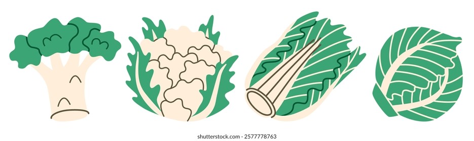 Flat illustration of cabbage, broccoli, and cauliflower showing whole and cut views, ideal for healthy eating, cooking projects, and vegetable-inspired designs.