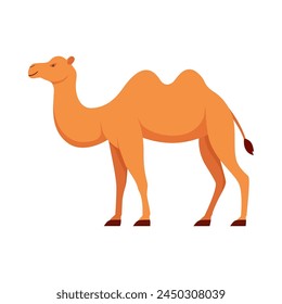 Flat illustration of camel on isolated background