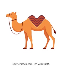 Flat illustration of camel on isolated background