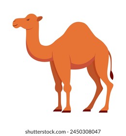 Flat illustration of camel on isolated background