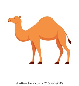 Flat illustration of camel on isolated background