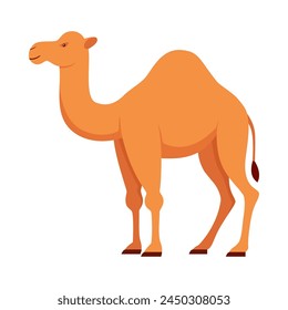 Flat illustration of camel on isolated background