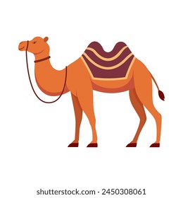 Flat illustration of camel on isolated background