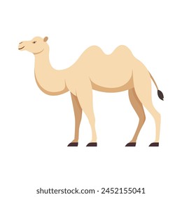 Flat illustration of camel on isolated background
