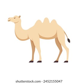 Flat illustration of camel on isolated background