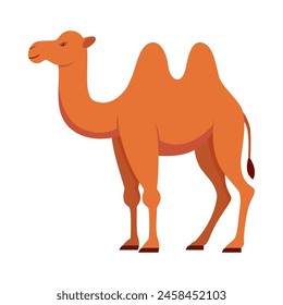 Flat illustration of camel on isolated background 