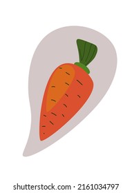 Flat illustration of carrot vector isolated on white background