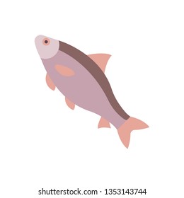 Flat illustration of a caspian roach fish for food market and restaurant.