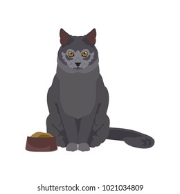 flat illustration of a cat in vector format