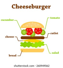 Flat illustration of cheeseburger ingredients with text