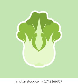 Flat illustration of chinese cabbage vector icon for web design. Head of napa cabbage. Vector flat color icon. Isolated on color. Natural food and healthy nutrition. Flat vector 