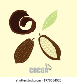 Flat illustration of cocoa bean vector icon for web design. Cocoa beans Flat style illustration. Chocolate tree fruit. Cacao vector icon. Colored realistic cocoa composition with organic cacao bean