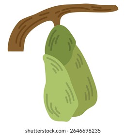 Flat illustration of a cocoon insect