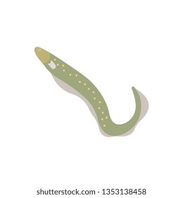 Flat illustration of a conger eel for food market and restaurant.