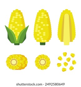 Flat illustration corn in different form with rounded cartoon style isolated on white background
