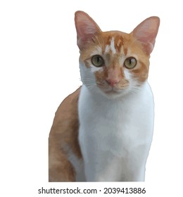 Flat illustration of cute cat vector on white background.
