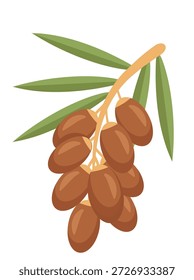 Ilustración plana de la rama de fruta de dátiles que simboliza la comida de Ramadán y la tradición islámica.