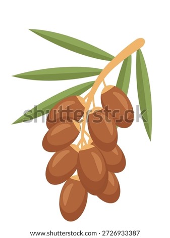 Flat illustration of dates fruit branch symbolizing Ramadan food and Islamic tradition.