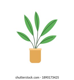 Flat Illustration of Decorative Plants Isolated on a White Background.