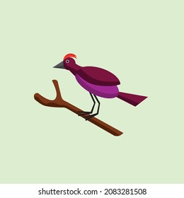 Flat Illustration Design of Unknown Bird  with Beautiful Color, Animal Cartoon Vector