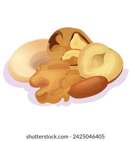 Flat illustration of different nuts : peanut,walnut,cashew and hazelnut.