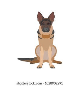 flat illustration of a dog