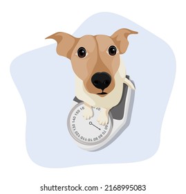 Flat illustration dog activity and person people. editable color fill. let's make your design easier