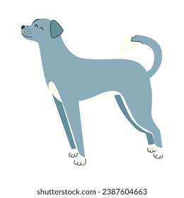 flat illustration of dog animals