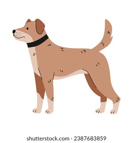 flat illustration of dog animals