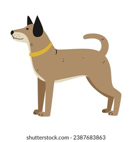 flat illustration of dog animals