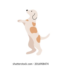 Flat Illustration of A Dog Standing On It's Back Legs 