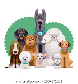 Flat illustration of dogs of different breeds sitting together from smallest to largest