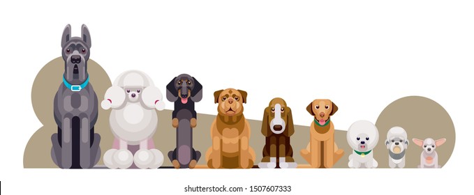 Flat illustration of dogs of different breeds sitting in growth from large to small against the background of sugar bone