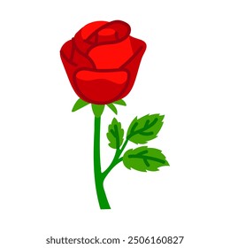 flat illustration with doodle elements, a red closed rose with a trunk and leaves highlighted on a white background. blooming rose begins to open. A bright, burning, flaming Mexican rose is stylized