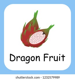 Flat Illustration of Dragon Fruit with Text Vector Design. Education for Kids.