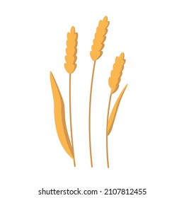 Flat illustration of ears of wheat. Harvesting the autumn harvest in the fields, cereals. Vector illustration on white background.