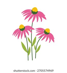 Ilustración plana Flor y hoja de equinácea. Concepto de medicina herbaria. Diseño de Vector moderno. Formas simples y escalables para la marca de bienestar.