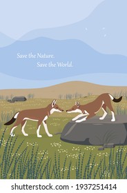Flat illustration of ethiopian wolves playing on green meadow. A postcard dedicated to the global problem of biodiversity loss. Canis simensis - one of endangered species of animals. Save the nature.