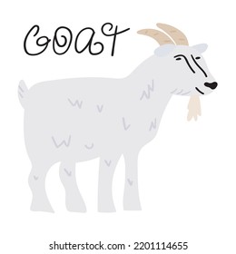 Flat illustration. Farm animal. Goat. Vector hand drawn illustration.
