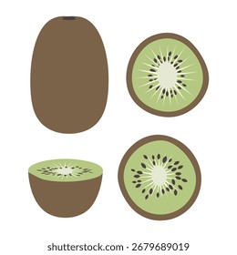 Uma ilustração plana com um kiwi inteiro, um kiwi dividido pela metade e duas seções transversais de kiwi sobre um fundo branco.