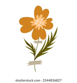 Ilustración plana de una flor de un herbario. Cosmea. Una flor sobre un blanco. Un elemento decorativo de diseño floral. Hierbas, plantas con flores con un trozo de cinta adhesiva. Ilustración botánica de Vector