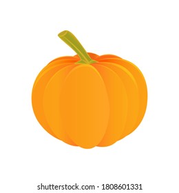 Flat illustration of fresh orange pumpkin. Vector for decoration.