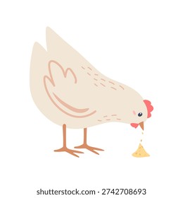 Flat illustration of a funny white chicken pecking grain. Hand drawn vector image of domestic bird.